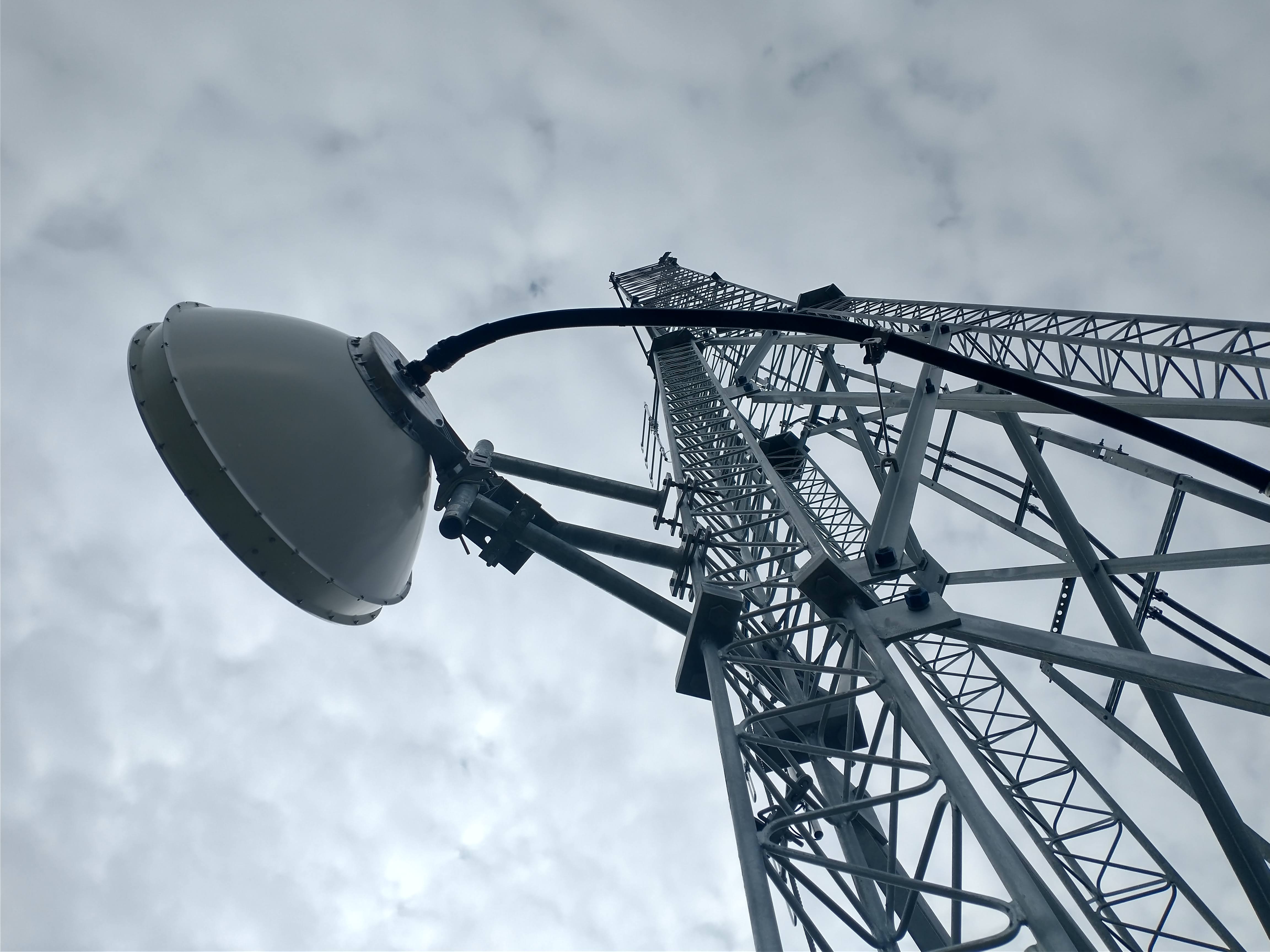 Microwave dish and waveguide on a communications tower